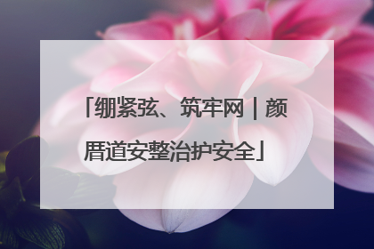 绷紧弦、筑牢网｜颜厝道安整治护安全