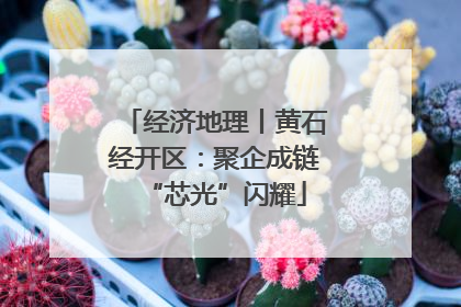 经济地理丨黄石经开区：聚企成链“芯光”闪耀