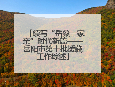 续写“岳桑一家亲”时代新篇——岳阳市第十批援藏工作综述