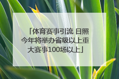 体育赛事引流 日照今年将举办省级以上重大赛事100场以上