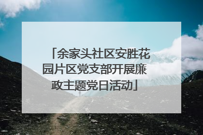 余家头社区安胜花园片区党支部开展廉政主题党日活动