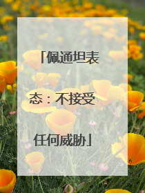 佩通坦表态：不接受任何威胁