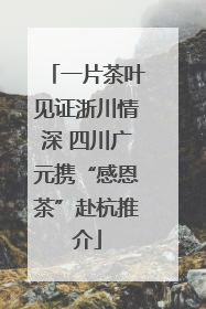 一片茶叶见证浙川情深 四川广元携“感恩茶”赴杭推介
