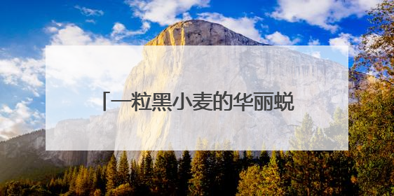 一粒黑小麦的华丽蜕变 麦田“黑科技”助力山西农业向新提质