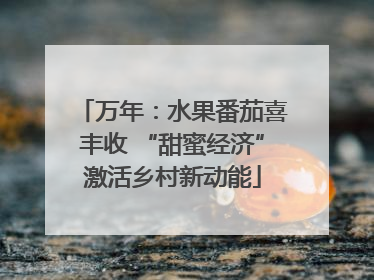 万年：水果番茄喜丰收 “甜蜜经济”激活乡村新动能