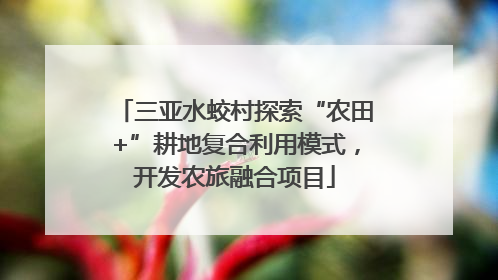 三亚水蛟村探索“农田+”耕地复合利用模式，开发农旅融合项目