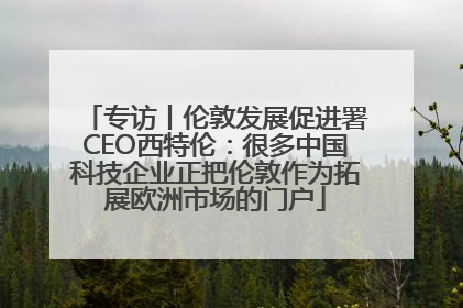 专访丨伦敦发展促进署CEO西特伦：很多中国科技企业正把伦敦作为拓展欧洲市场的门户