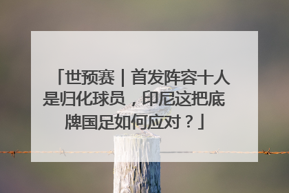 世预赛｜首发阵容十人是归化球员，印尼这把底牌国足如何应对？