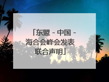 东盟－中国－海合会峰会发表联合声明