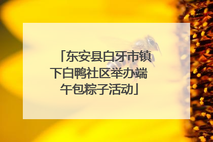 东安县白牙市镇下白鸭社区举办端午包粽子活动