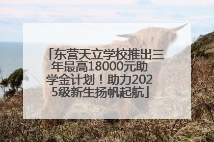 东营天立学校推出三年最高18000元助学金计划！助力2025级新生扬帆起航