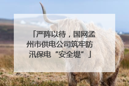 严阵以待，国网孟州市供电公司筑牢防汛保电“安全堤”
