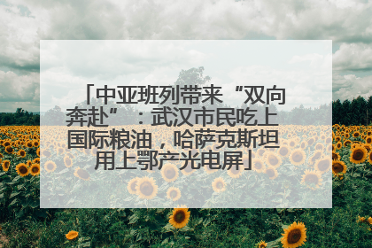 中亚班列带来“双向奔赴”：武汉市民吃上国际粮油，哈萨克斯坦用上鄂产光电屏