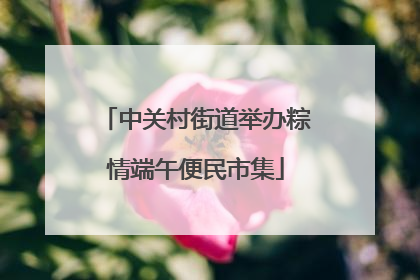 中关村街道举办粽情端午便民市集