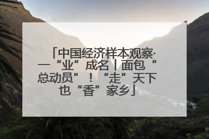 中国经济样本观察·一“业”成名丨面包“总动员”！“走”天下也“香”家乡
