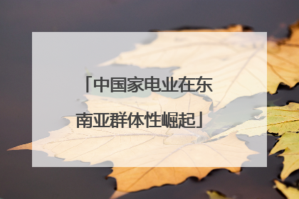 中国家电业在东南亚群体性崛起