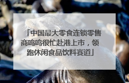 中国最大零食连锁零售商鸣鸣很忙赴港上市，领跑休闲食品饮料赛道