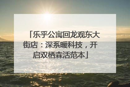 乐乎公寓回龙观东大街店：深系暖科技，开启双栖森活范本