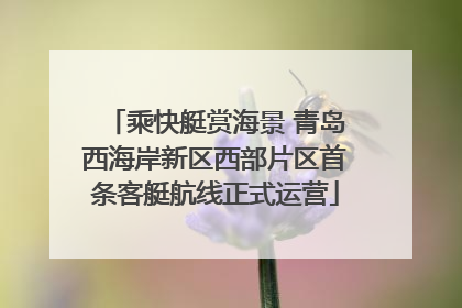 乘快艇赏海景 青岛西海岸新区西部片区首条客艇航线正式运营