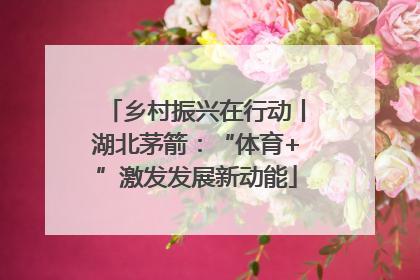 乡村振兴在行动丨湖北茅箭：“体育+”激发发展新动能