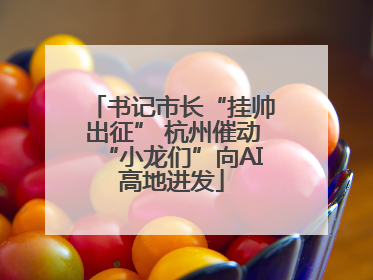 书记市长“挂帅出征” 杭州催动“小龙们”向AI高地进发