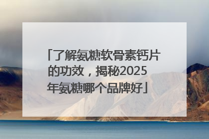 了解氨糖软骨素钙片的功效，揭秘2025年氨糖哪个品牌好