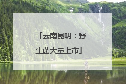 云南昆明：野生菌大量上市