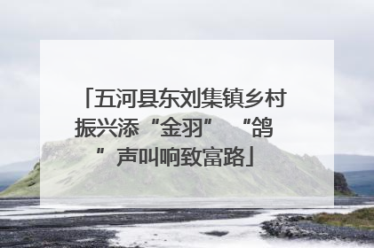 五河县东刘集镇乡村振兴添“金羽” “鸽”声叫响致富路