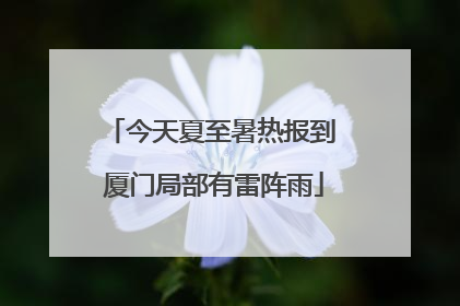 今天夏至暑热报到 厦门局部有雷阵雨