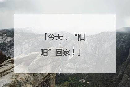 今天，“阳阳”回家！
