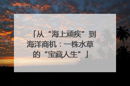 从“海上顽疾”到海洋商机：一株水草的“宝藏人生”