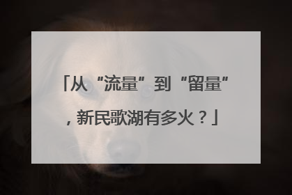 从“流量”到“留量”，新民歌湖有多火？