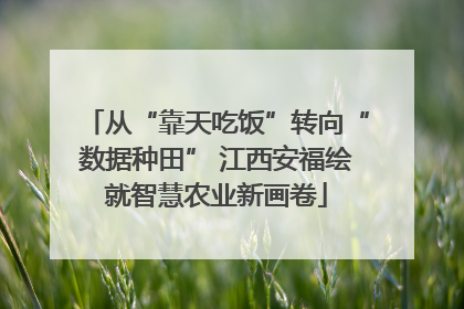 从“靠天吃饭”转向“数据种田” 江西安福绘就智慧农业新画卷