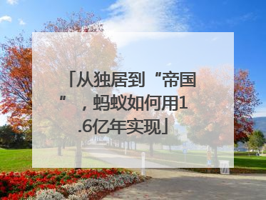 从独居到“帝国”，蚂蚁如何用1.6亿年实现