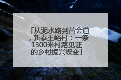 从泥水路到黄金道，新泰王峪村：一条1300米村路见证的乡村振兴蝶变