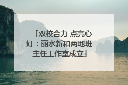 双校合力 点亮心灯：丽水新和两地班主任工作室成立