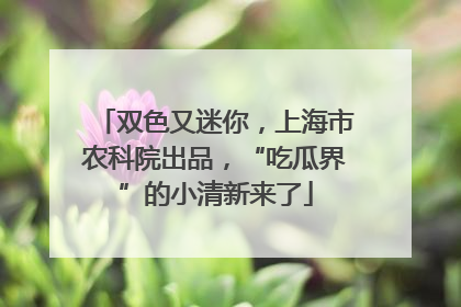 双色又迷你，上海市农科院出品，“吃瓜界”的小清新来了