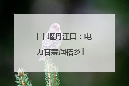 十堰丹江口：电力甘霖润桔乡