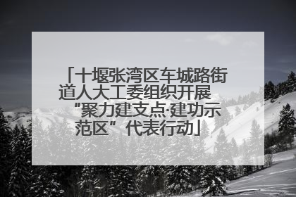 十堰张湾区车城路街道人大工委组织开展 “聚力建支点·建功示范区”代表行动