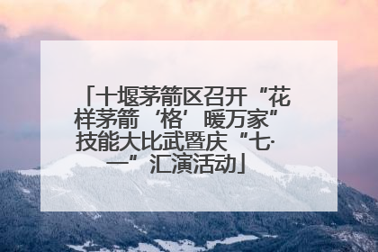 十堰茅箭区召开“花样茅箭‘格’暖万家”技能大比武暨庆“七·一”汇演活动