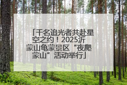 千名追光者共赴星空之约！2025沂蒙山龟蒙景区“夜爬蒙山”活动举行