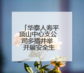 华泰人寿平顶山中心支公司多措并举  开展安全生产宣传活动