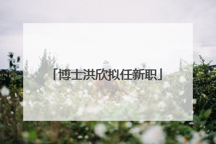 博士洪欣拟任新职
