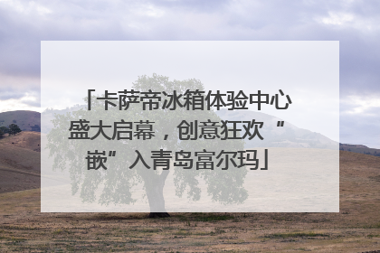 卡萨帝冰箱体验中心盛大启幕，创意狂欢“嵌”入青岛富尔玛