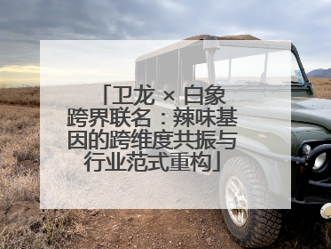 卫龙 × 白象跨界联名：辣味基因的跨维度共振与行业范式重构