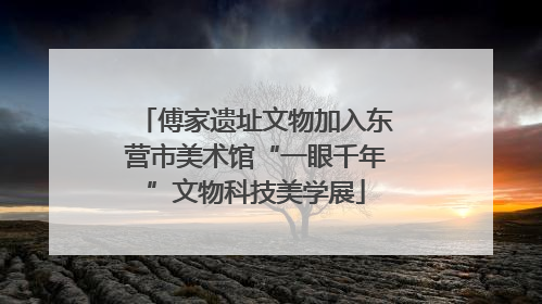 傅家遗址文物加入东营市美术馆“一眼千年”文物科技美学展