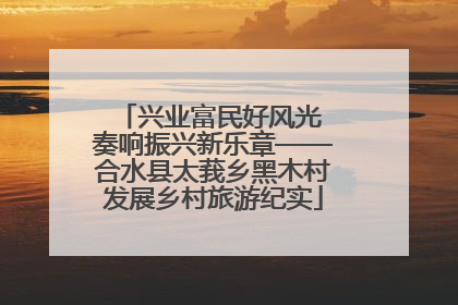 兴业富民好风光 奏响振兴新乐章——合水县太莪乡黑木村发展乡村旅游纪实