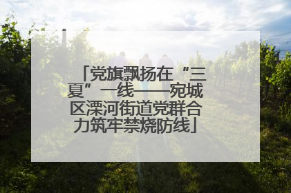 党旗飘扬在“三夏”一线——宛城区溧河街道党群合力筑牢禁烧防线