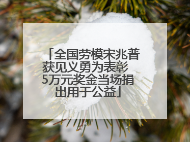 全国劳模宋兆普获见义勇为表彰 5万元奖金当场捐出用于公益
