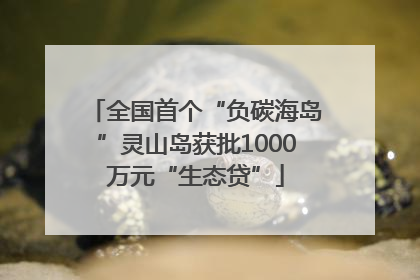 全国首个“负碳海岛”灵山岛获批1000万元“生态贷”